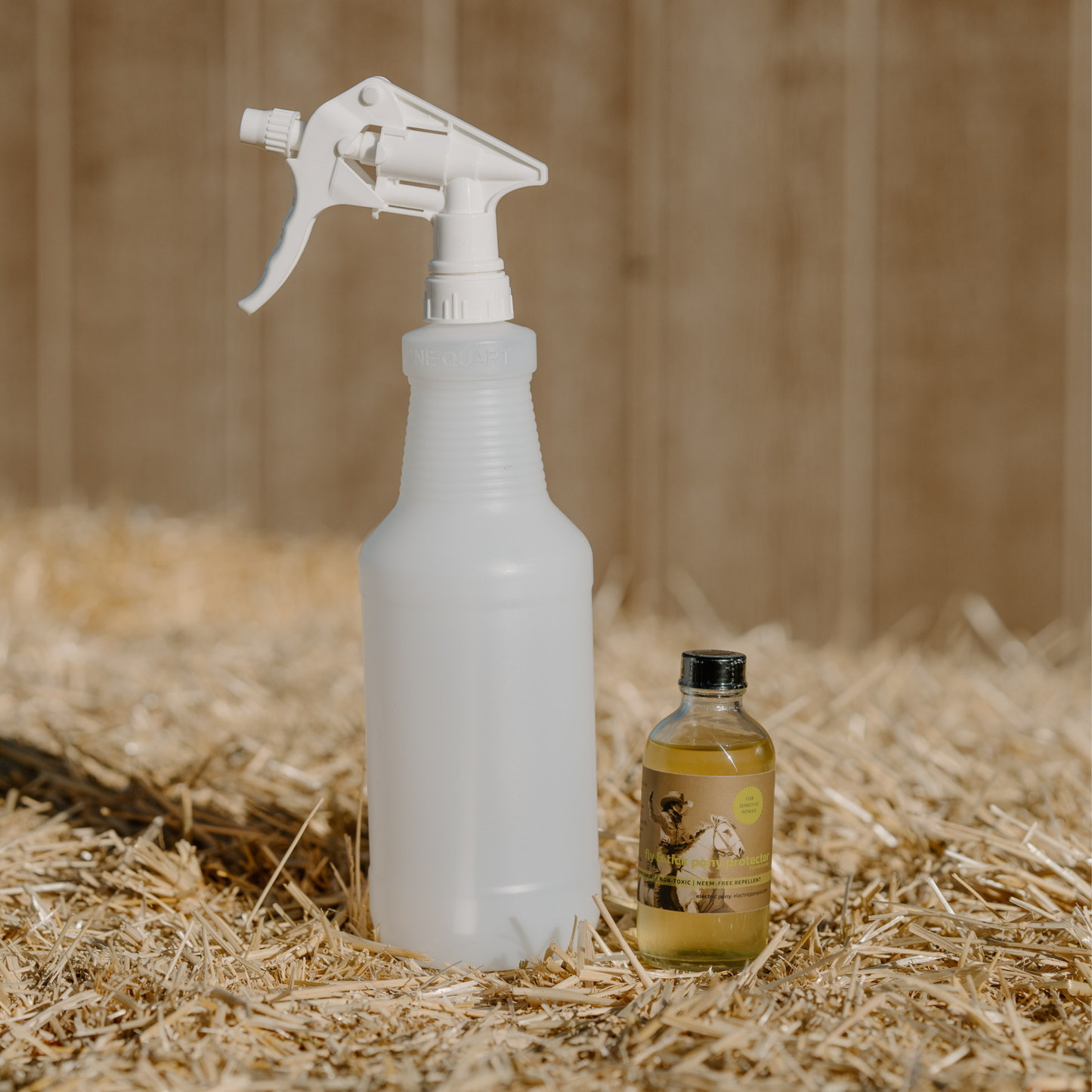 Mini Pony Starter Kit
