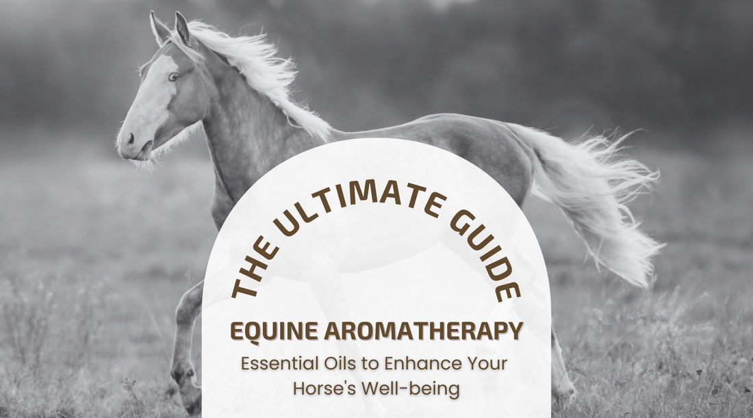 The Ultimate Guide to Equine Aromatherapy: Essential Oils to Enhance Your Horse's Well-being