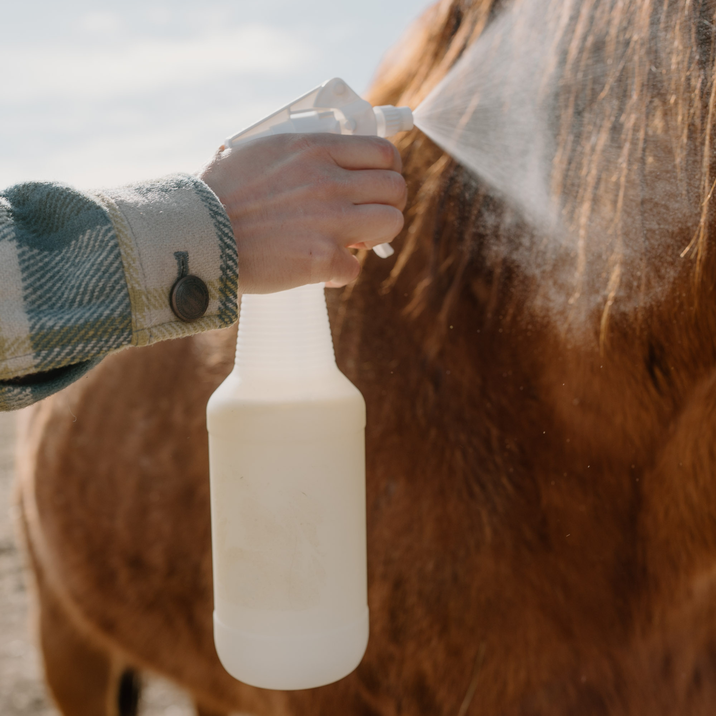 Fly & Tick Pony Protector Concentrate