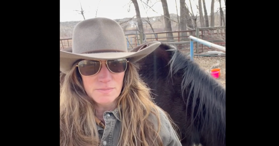 Load video: how to know what essential oils your horse likes