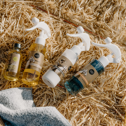 Mini Pony Starter Kit